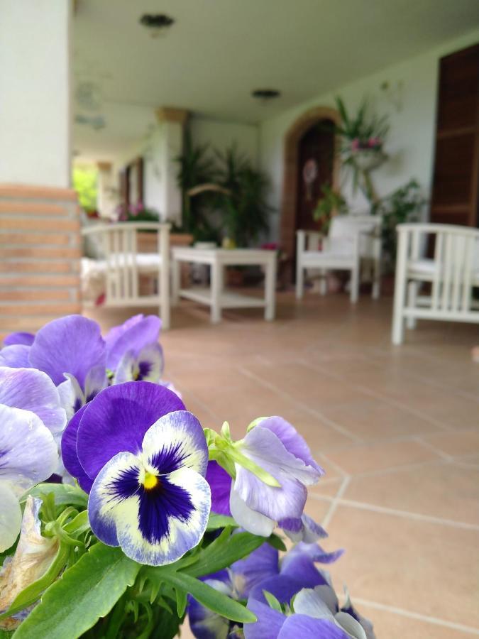 B&B Il Cantico Greccio Kültér fotó