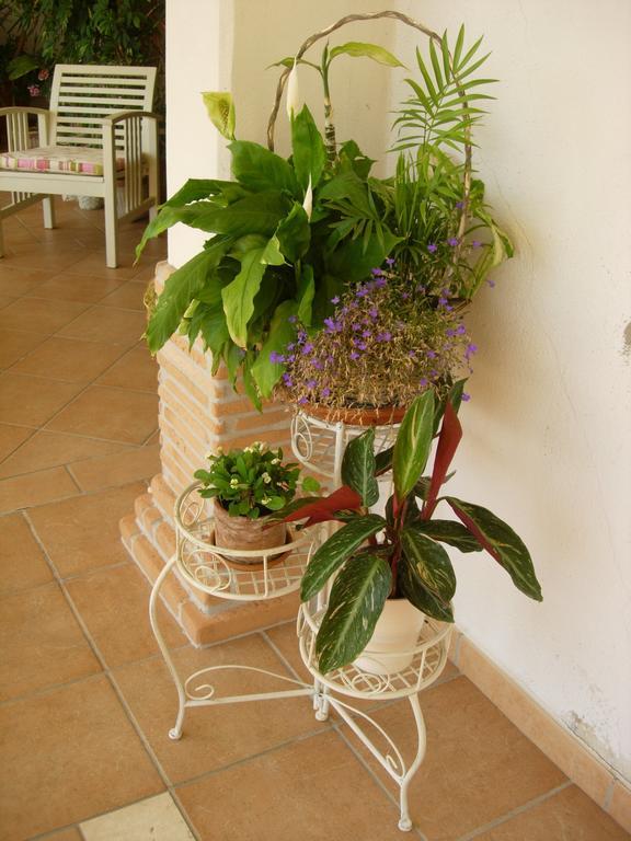 B&B Il Cantico Greccio Szoba fotó